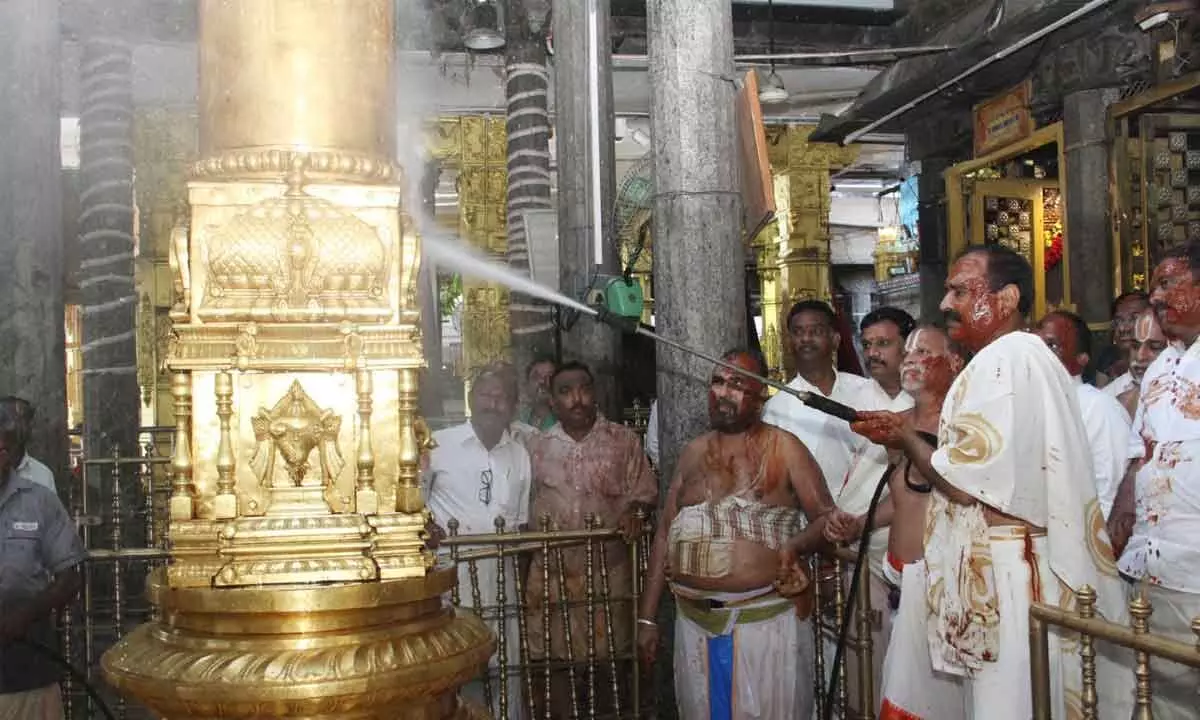 Parimalam Cleanses up Tiruchanoor Temple