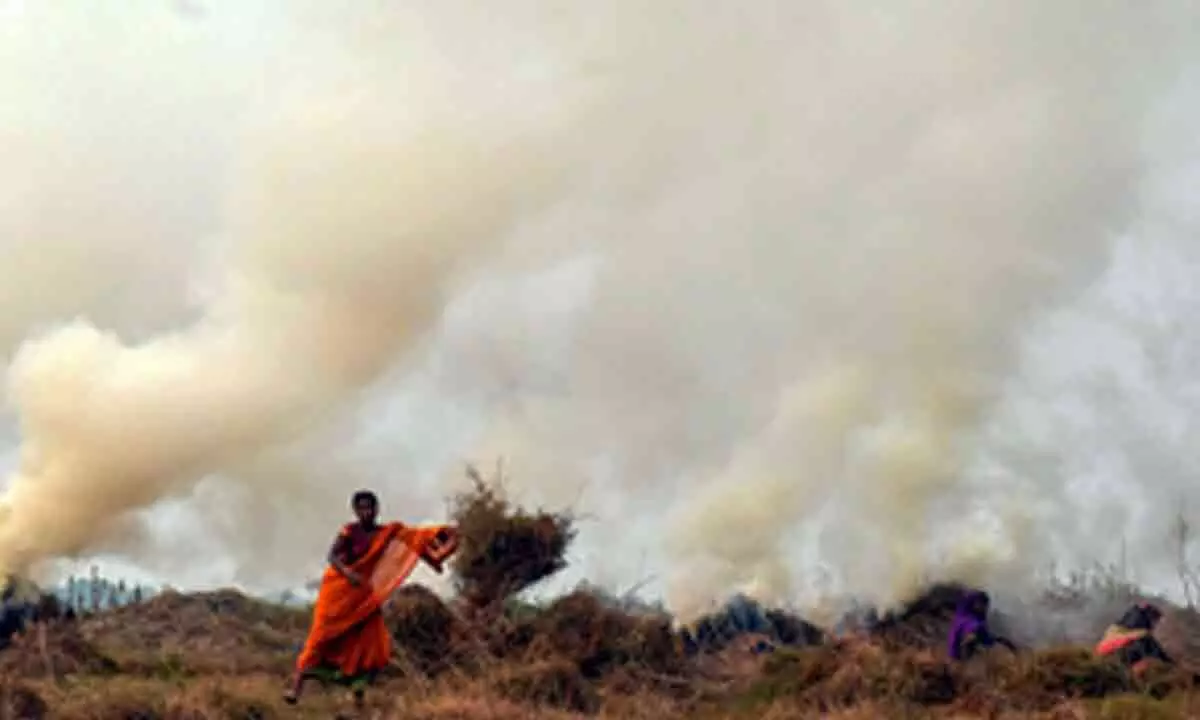 Explained: SC directions to states and Centre to stop stubble burning