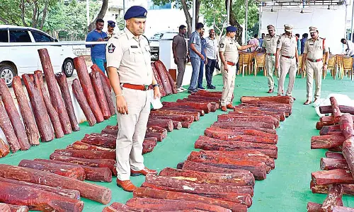 District SP P Parameswar Reddy looking at the seized red sanders logs in Tirupati on Monday