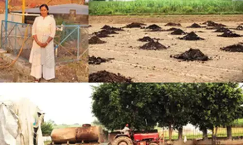 Powering progress: Uttar Pradesh villagers generate renewable energy from farm waste