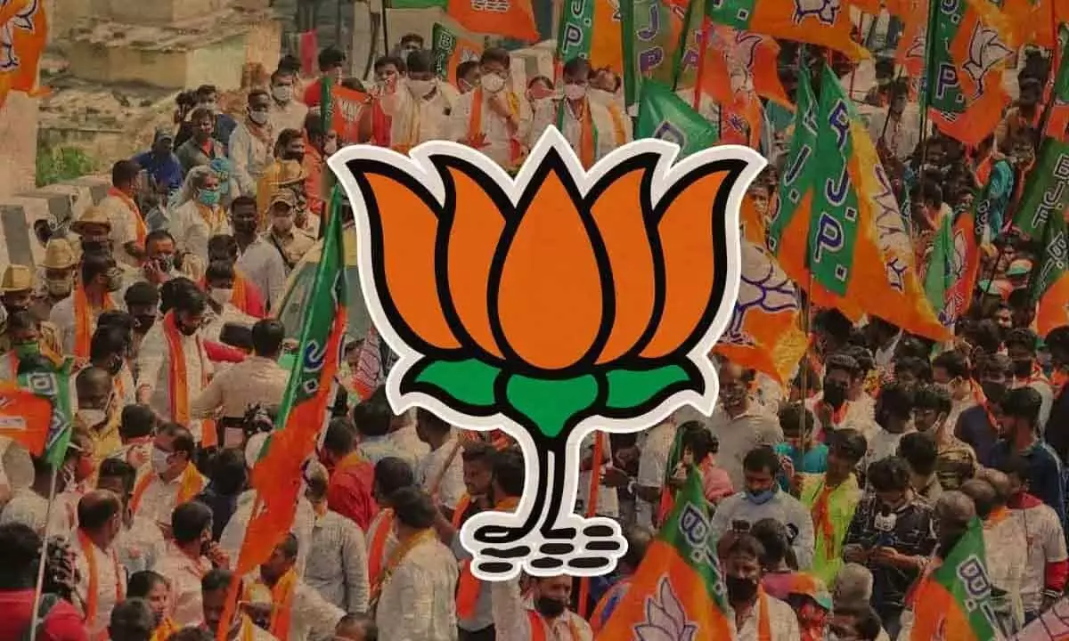 BC card a gamble for BJP