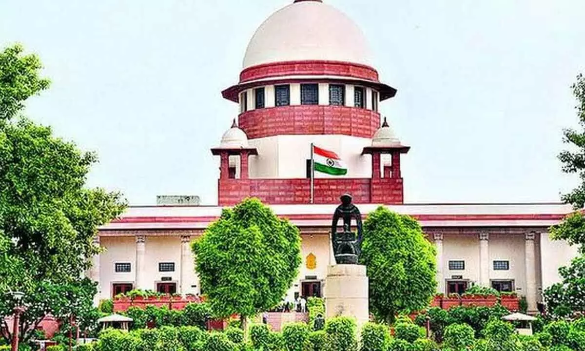 Stop crop residue burning forthwith: Supreme Court