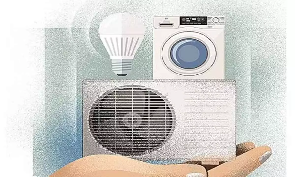 Govt to release PLI incentives for white goods in Q4