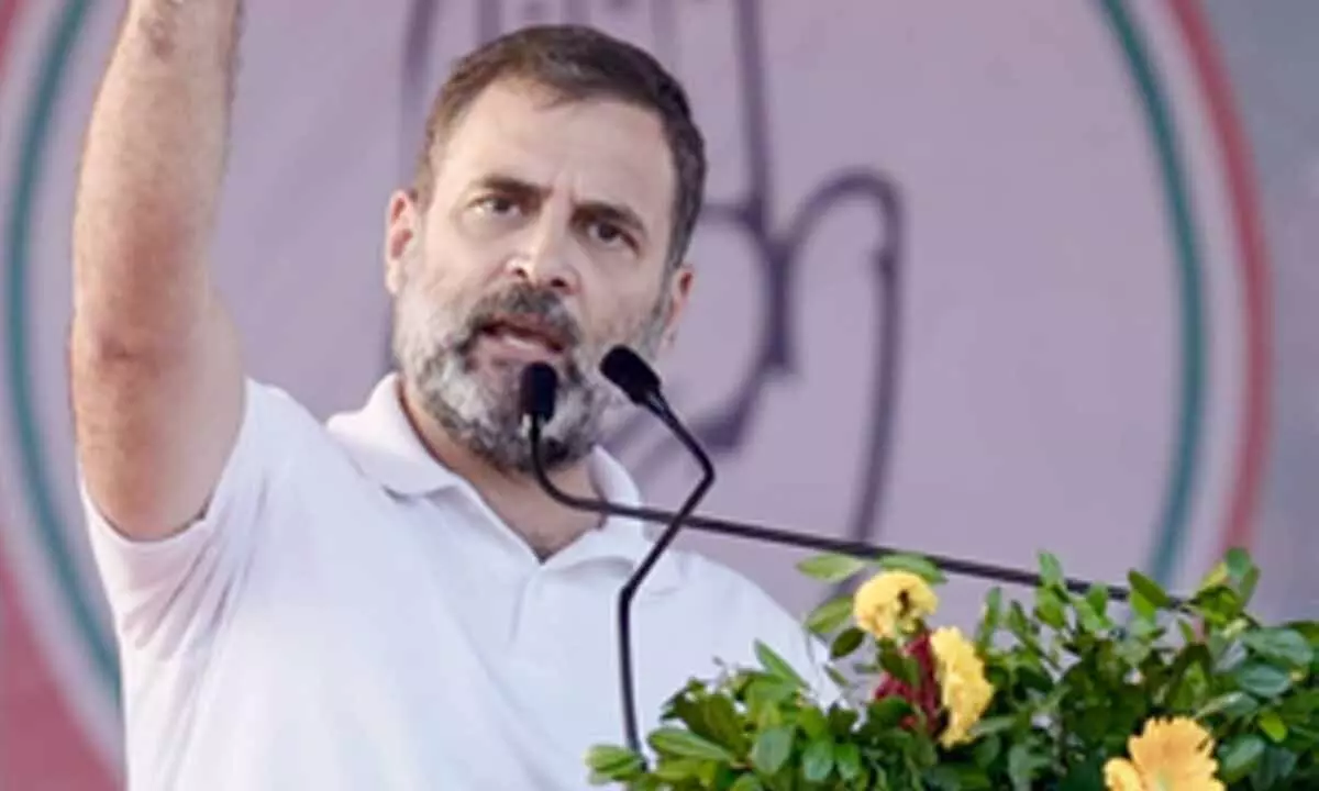 Demonetisation was a well thought out conspiracy to destroy employment: Rahul