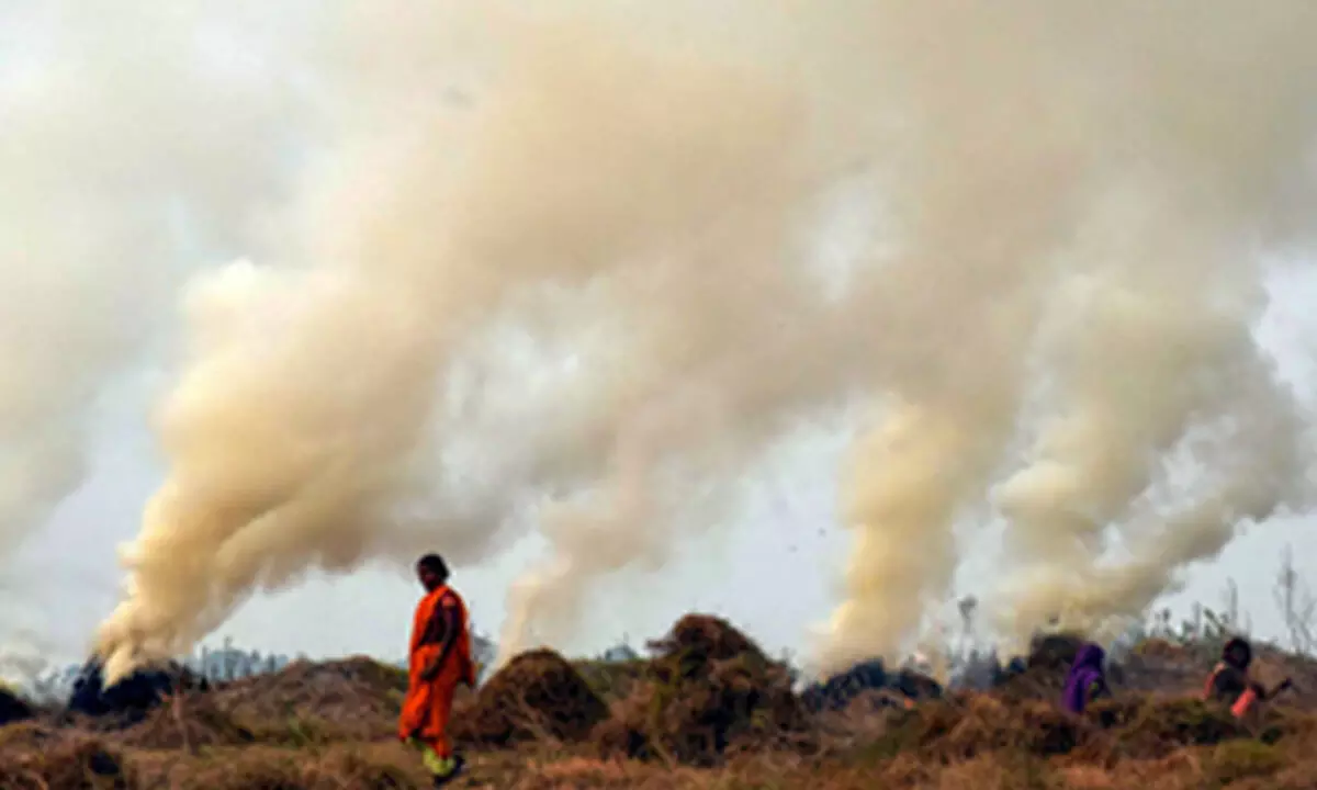 Two facilities to reduce stubble burning in 40,000 acres in Punjab