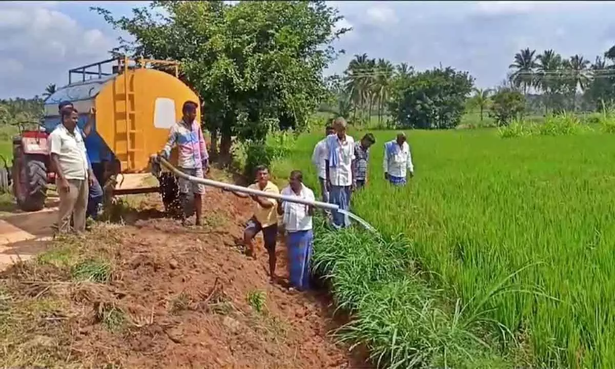 Water woes worsen for Mandya farmers as canals dry up, resort to tanker irrigation