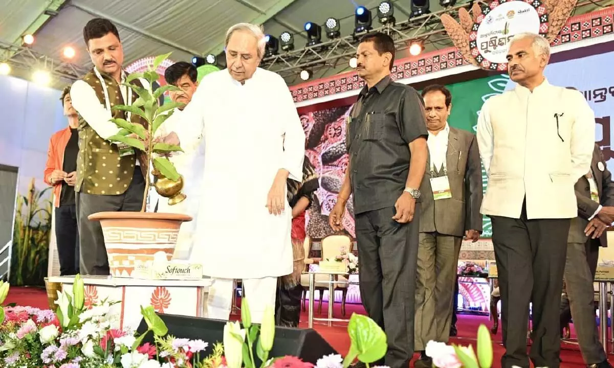 Odisha pioneer in designing people-centric Millet Mission: Naveen