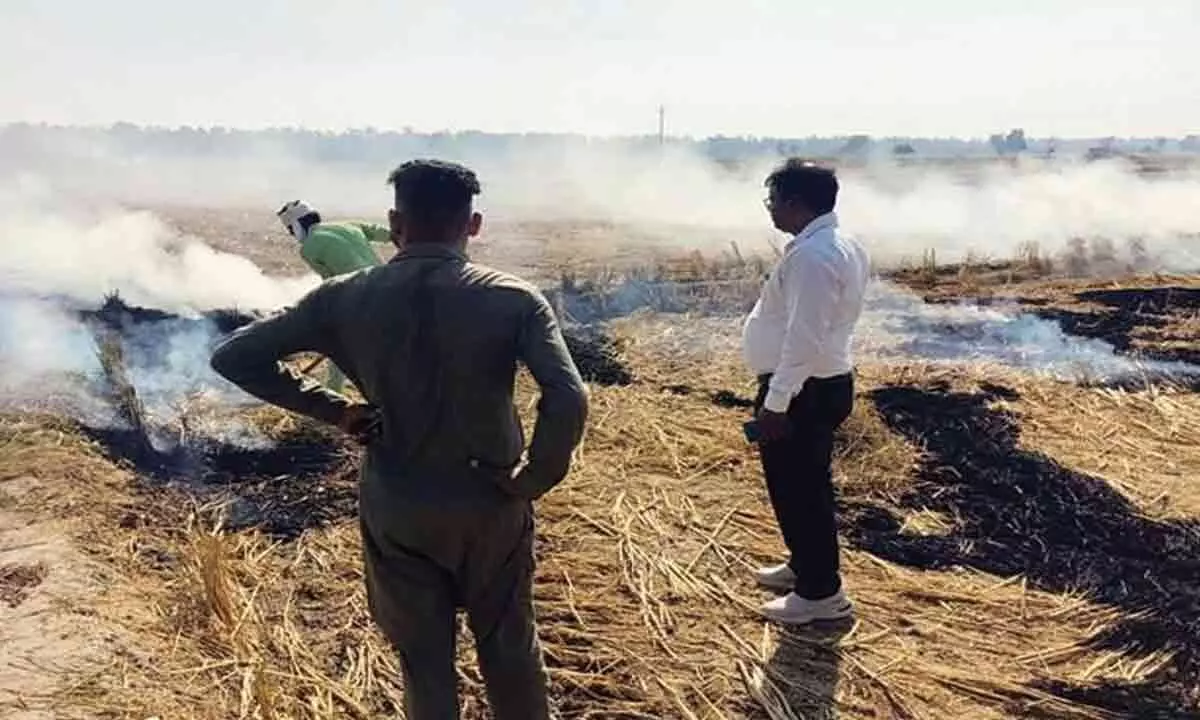 Chandigarh: Stringent measures against stubble burning says Haryana CS Sanjeev Kaushal