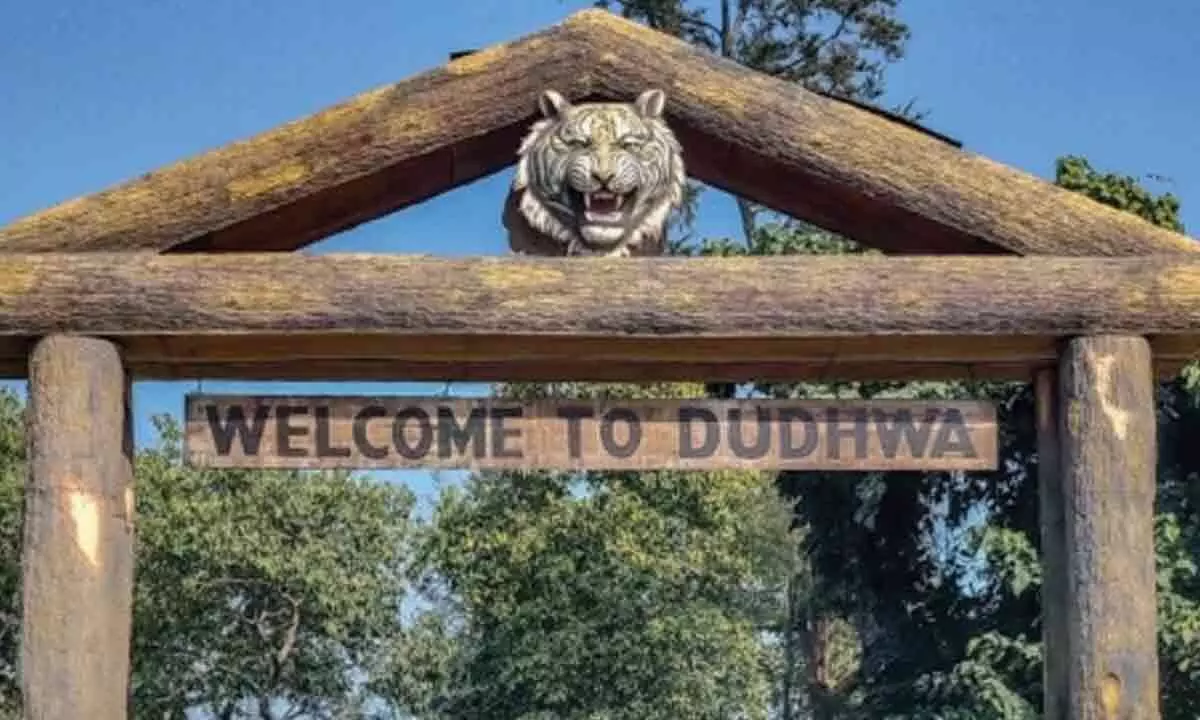 Dudhwa to reopen with more facilities, less fees