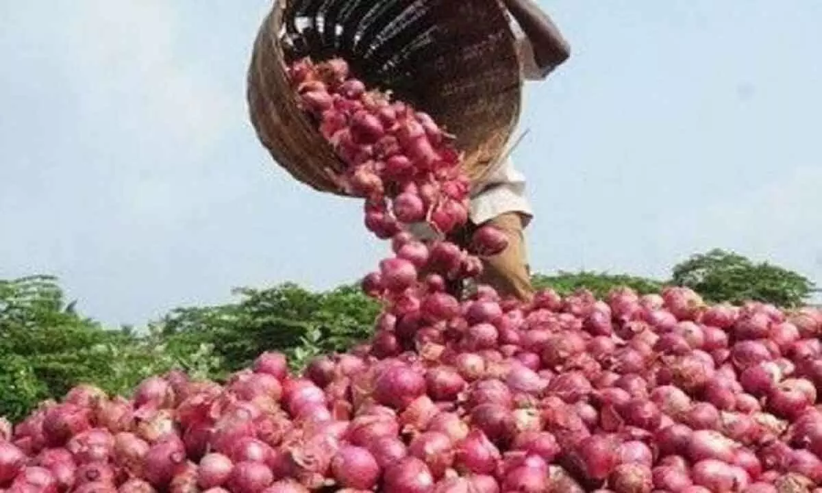 Relief for common man as onion prices begin falling