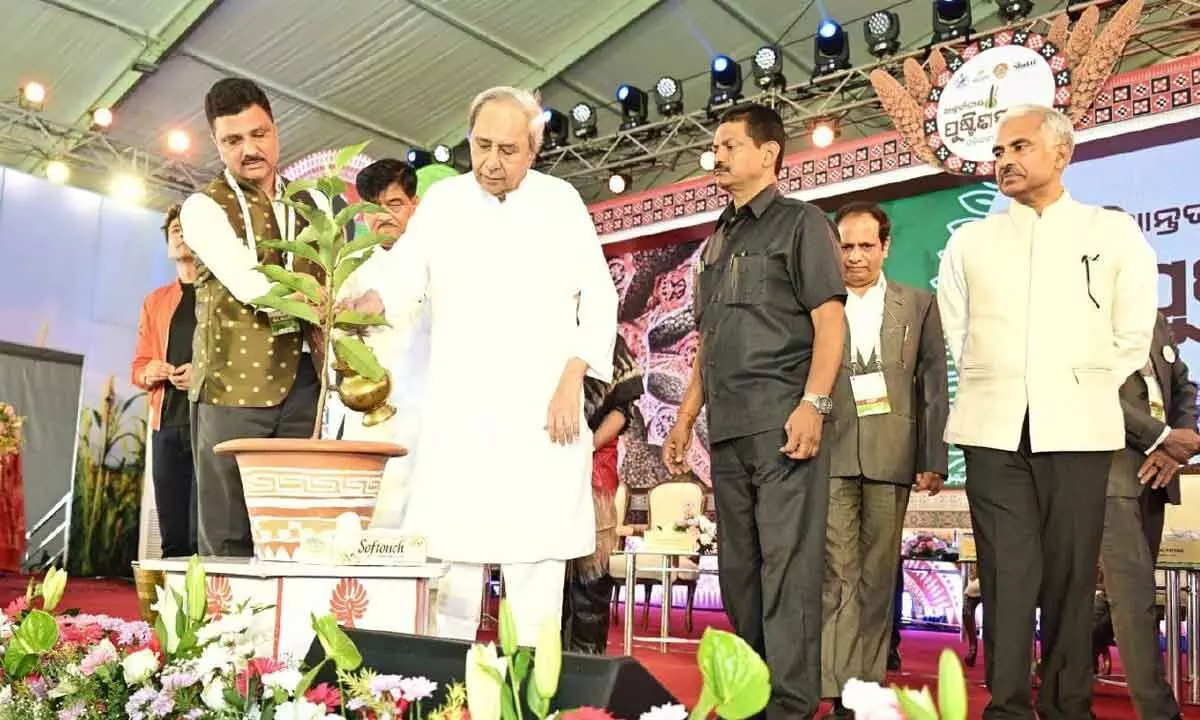 Odisha pioneer in designing people-centric Millet Mission: CM