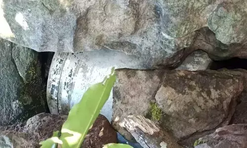 BSF recovers Maoist dump in Malkangiri