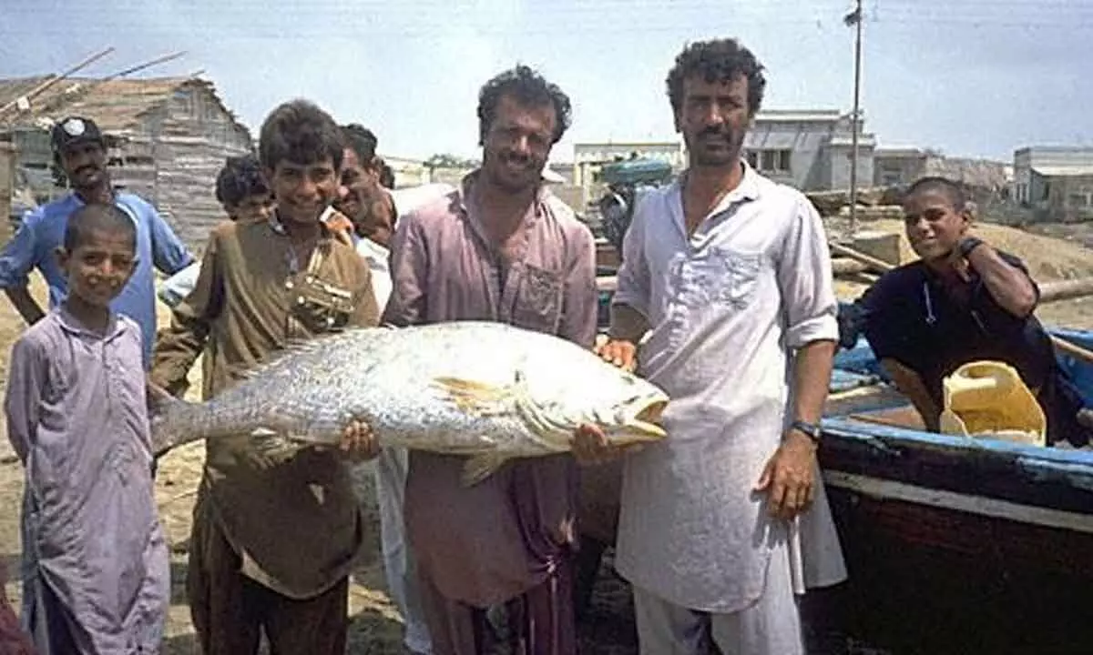 Pakistan fisherman sells fish for Rs70 million!