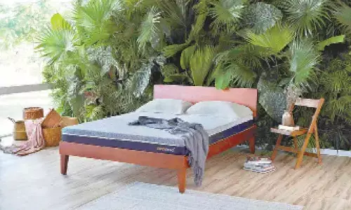 Eco-Haven: The Sustainable Home Decor Revolution