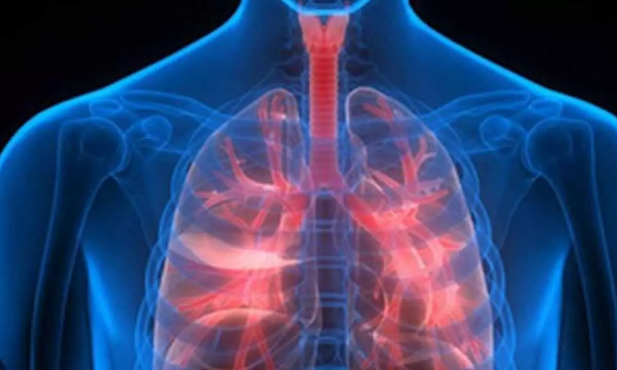 Most Americans not concerned about respiratory illnesses despite severe risks