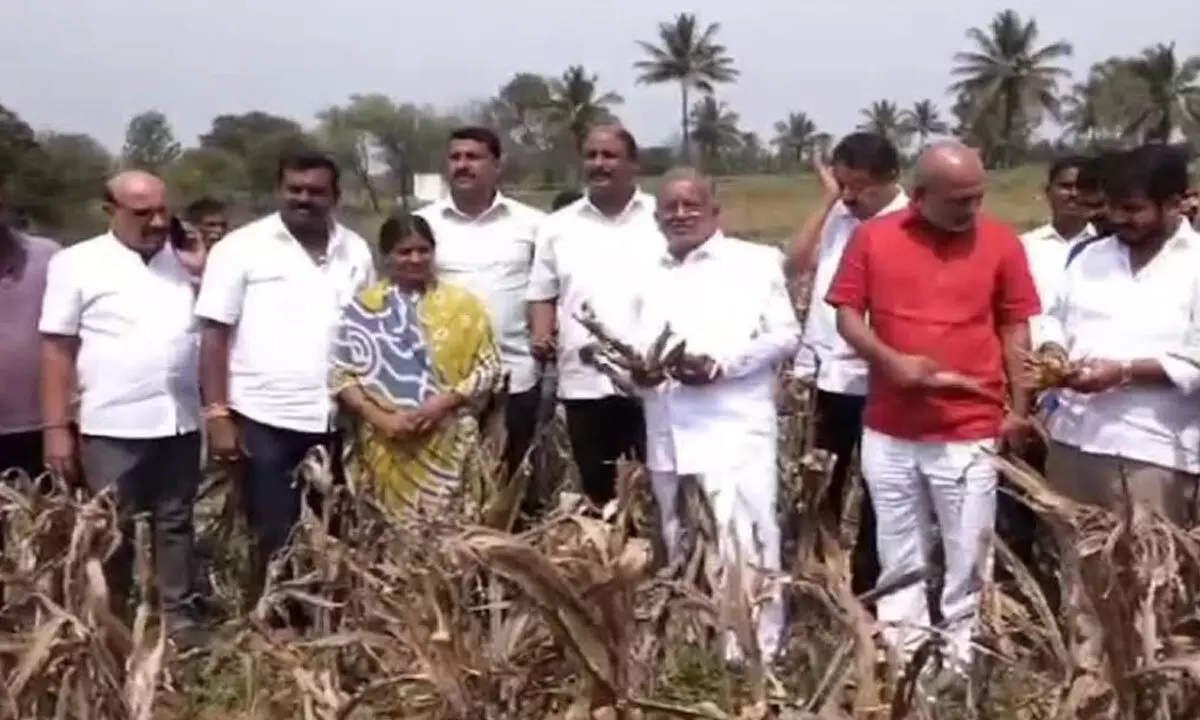 JDS Warns of Agitation: Farmers Compensation Delay Sparks Threat of MLAs Sit-In