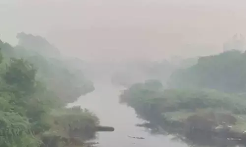 Punjab sees AQI reduction of 7.6%