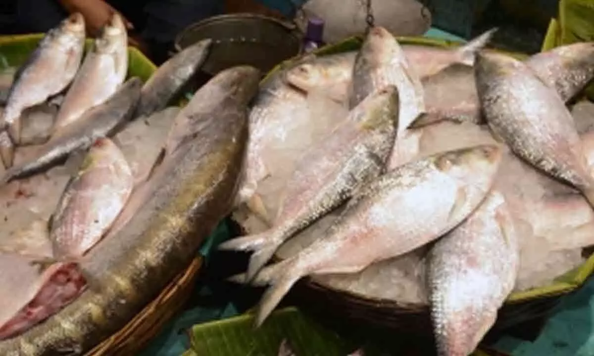 Ahead of Bhai Dooj, prices of fish & meat prices skyrocket in Kolkata