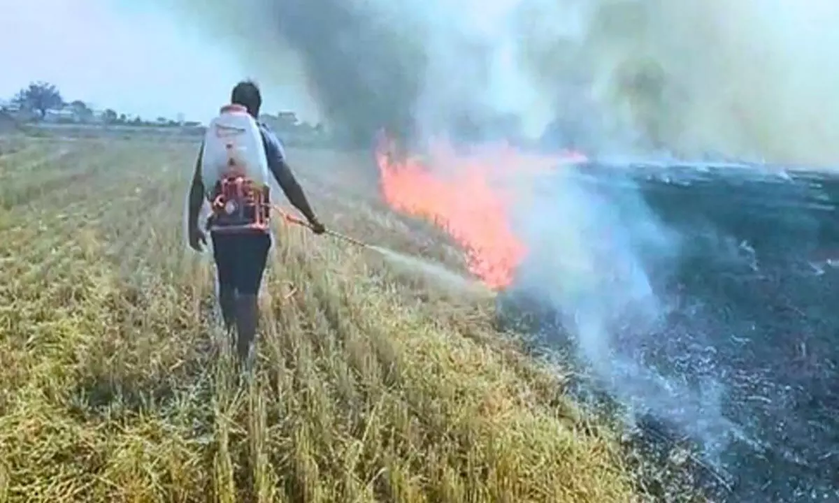 CVoter survey reveals very low awareness of stubble burning