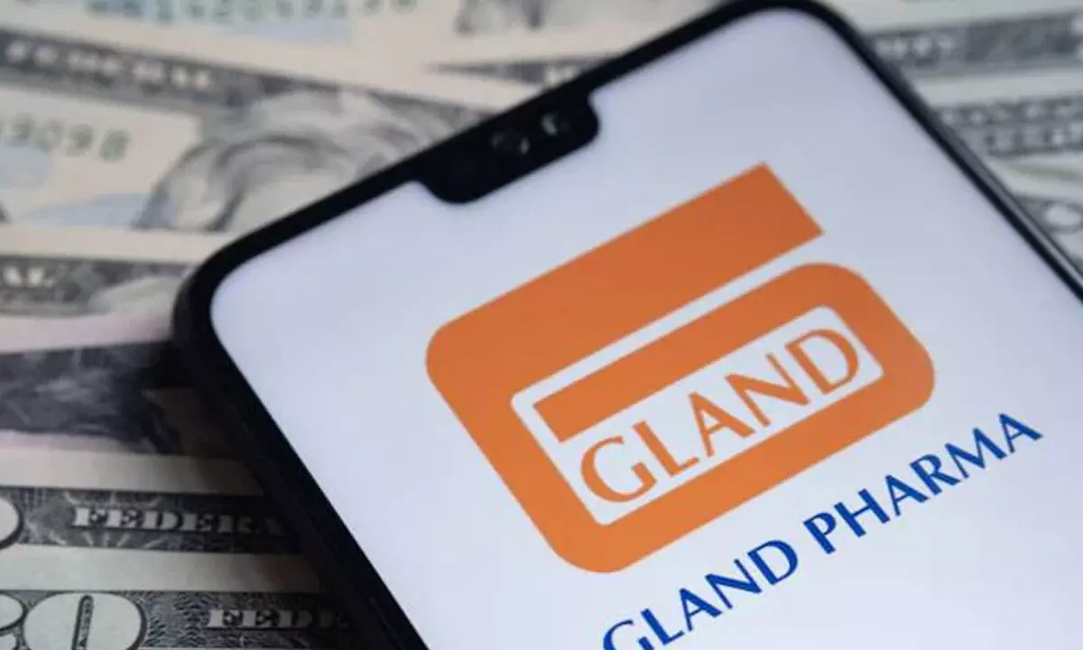Gland Pharma gets USFDA nod for generic injectable
