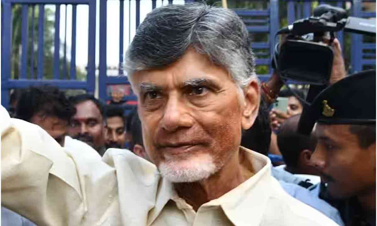 TDP celebrates regular bail to Chandrababu