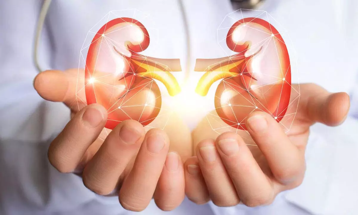 Ways in which diabetes affects renal health