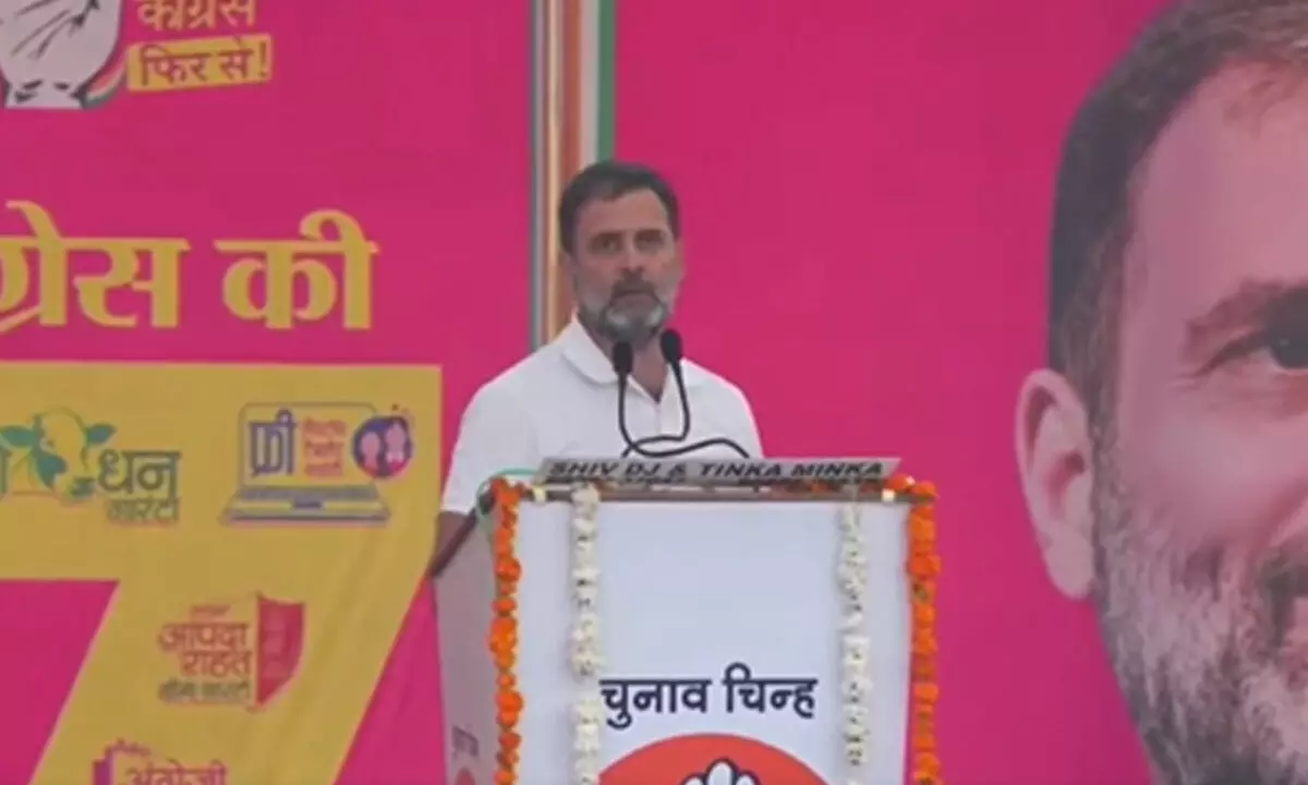 BJP will stop schemes run by Cong if they come to power in Rajasthan: Rahul Gandhi
