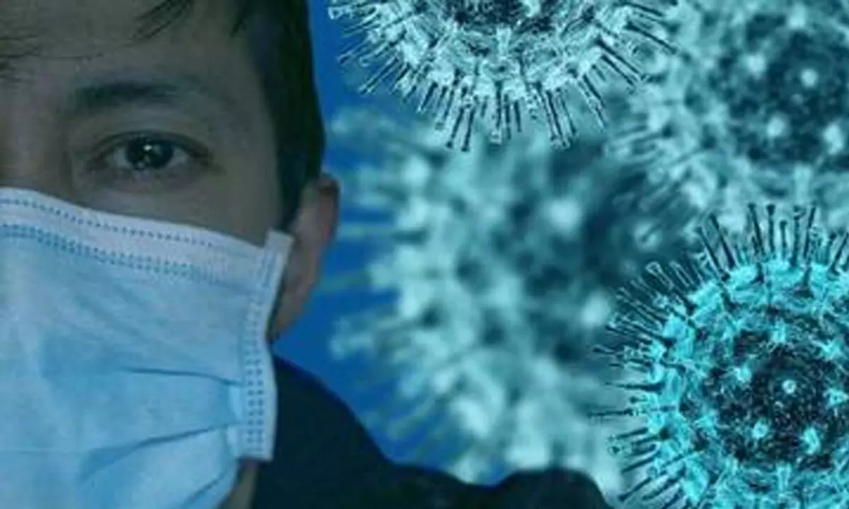 Covid likely to settle as seasonal flu, peak in colder months: Study