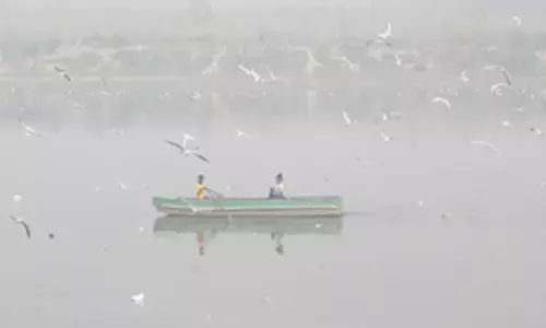 How air pollution affects reproductive health of women