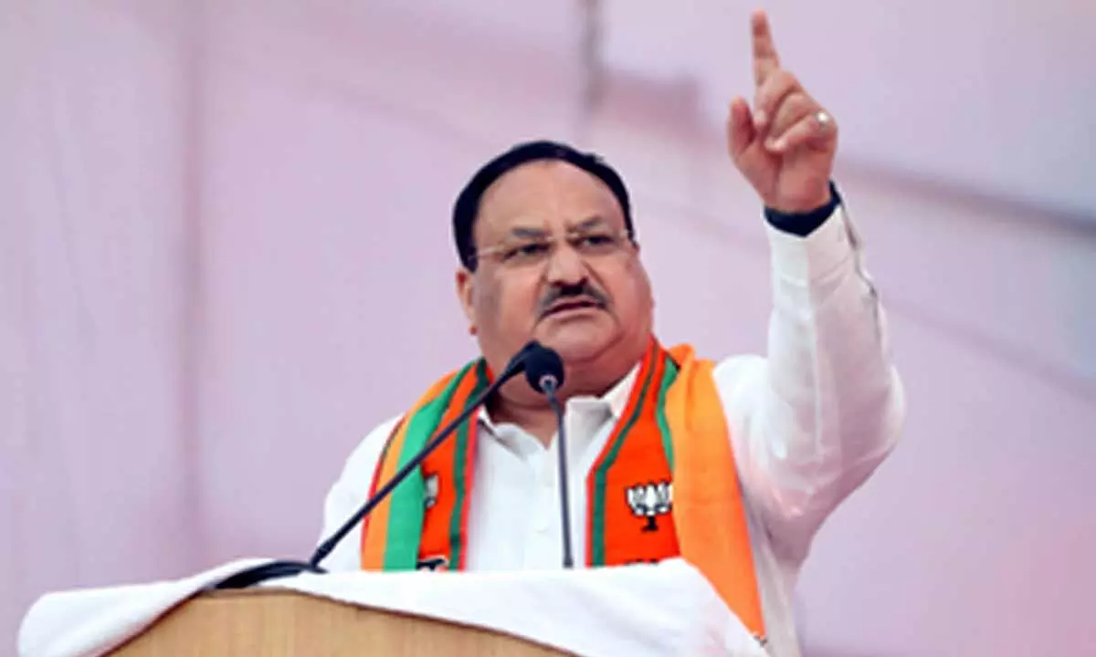 Nadda urges people in MP, Chhattisgarh to vote in large numbers