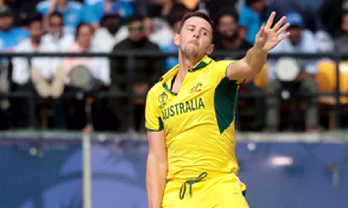 Men’s ODI WC: We know the blueprint now if on bowling first, says Hazlewood ahead of final against India