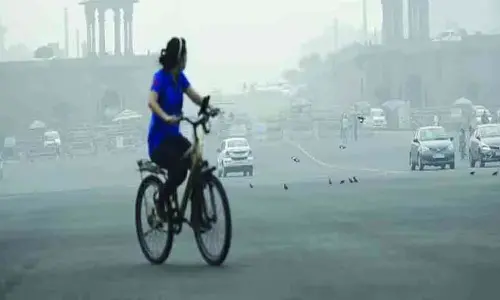 New Delhi: Government sets up 6-member STF to implement GRAP