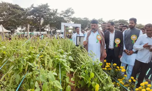 Appeal to Centre to Increase MGNREGA man days from 100 to 150