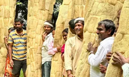 Roping in affordable tech, loan support can bring natural fibres to life in Karnataka