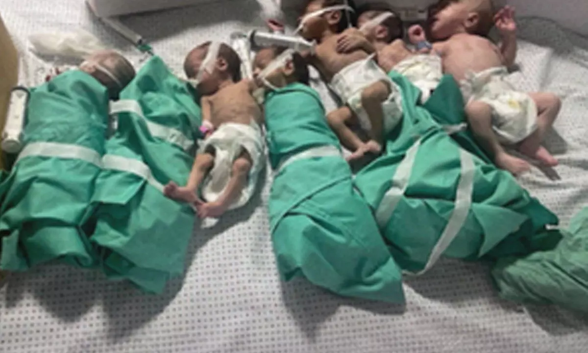 Another premature baby dies in Gazas Al-Shifa Hospital, total reaches 5