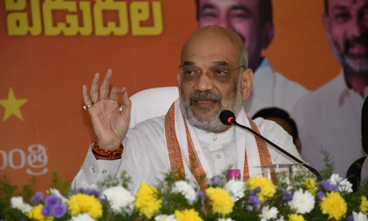 Main points of BJP election manifesto announced by Union Home Minister Amit Shah