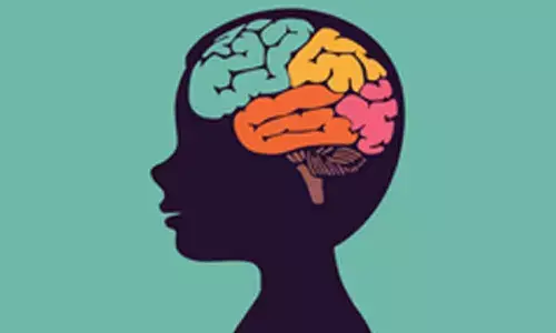 Hunger hormones impact decision-making brain area to drive animal’s behaviour