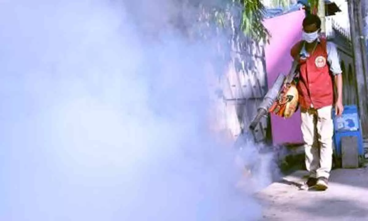 Bangladeshs dengue cases soar past 300,000 with 1,549 deaths