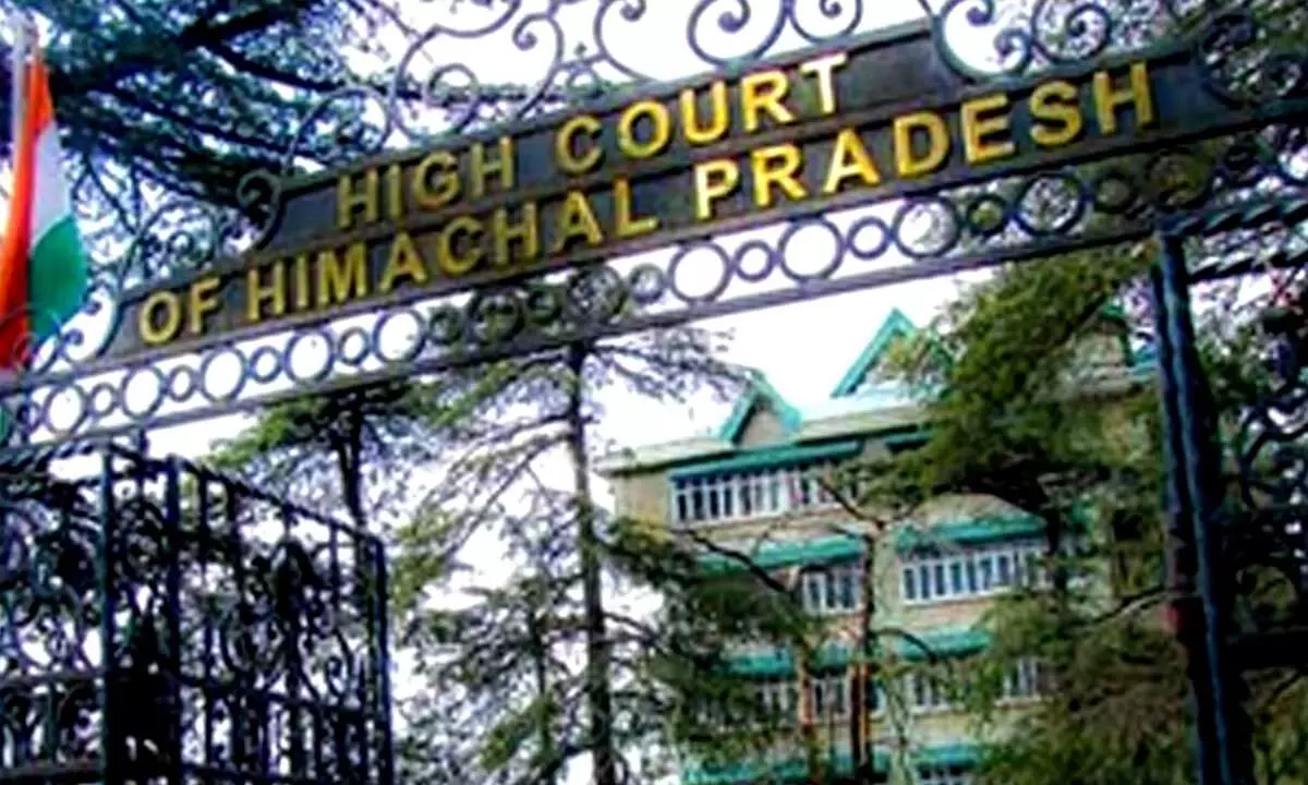 State sucking blood of poor unemployed youth: Himachal Pradesh High Court
