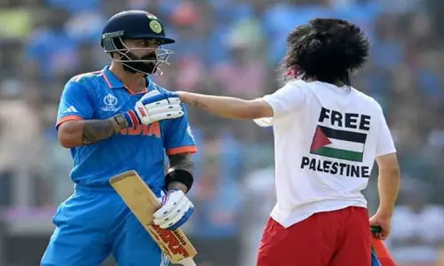 Pro-Palestine fan breaches security