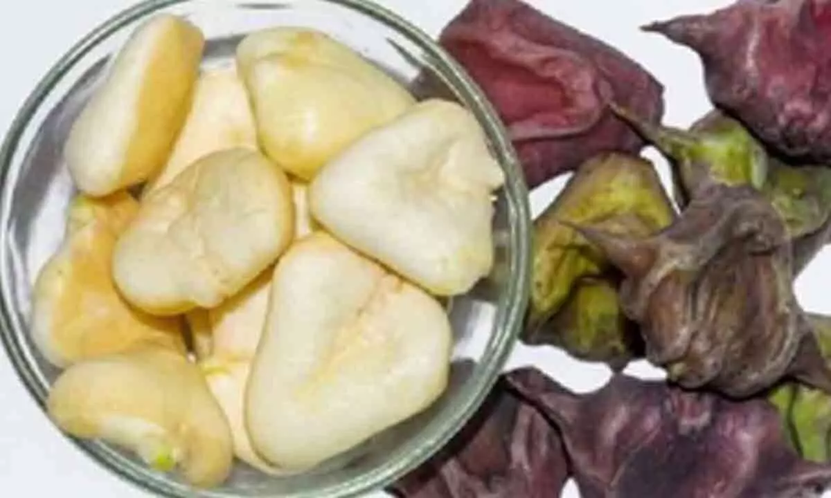 Water chestnuts from Varanasi set to hit Dubai markets