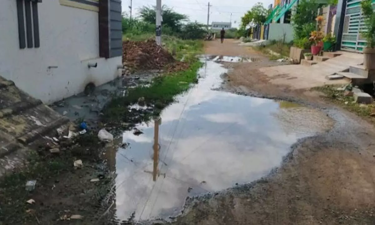 Sewage water remaining stagnant on the road at NGOs Colony in Nandyal town