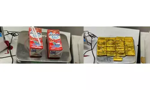 Man held at IGI airport with over 4 kgs of gold bars worth Rs 2 cr
