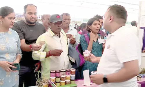 Visitors get a taste of Millet ice cream launched at Krishi Mela