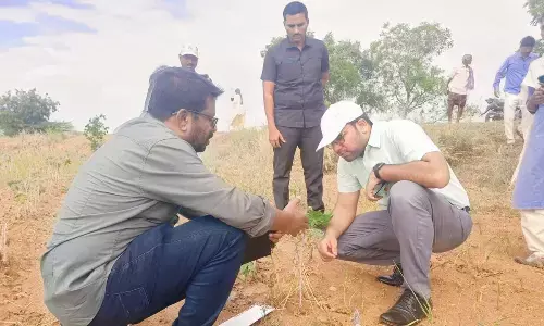 Make proper assessment of crop damage, officials told
