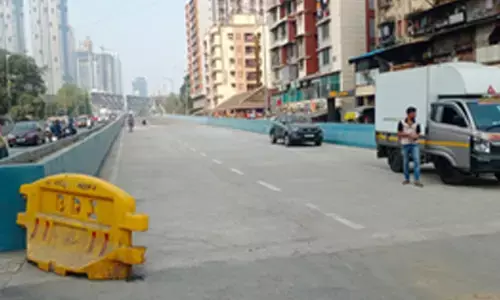 After row, Mumbai’s Delisle Road bridge to finally open on Thursday
