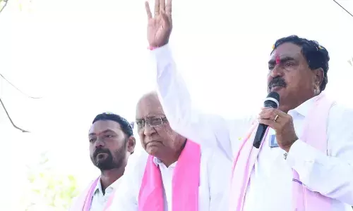 Minister for Panchayat Raj and Rural Development Errabelli Dayakar Rao campaigning in Palakurthi constituency on Wednesday