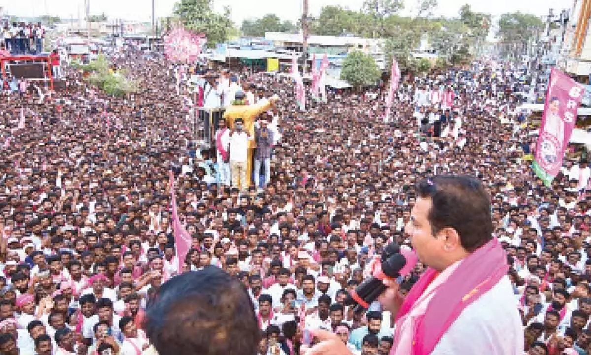 Revanth will lose in both Kodangal, Kamareddy segments, predicts KTR