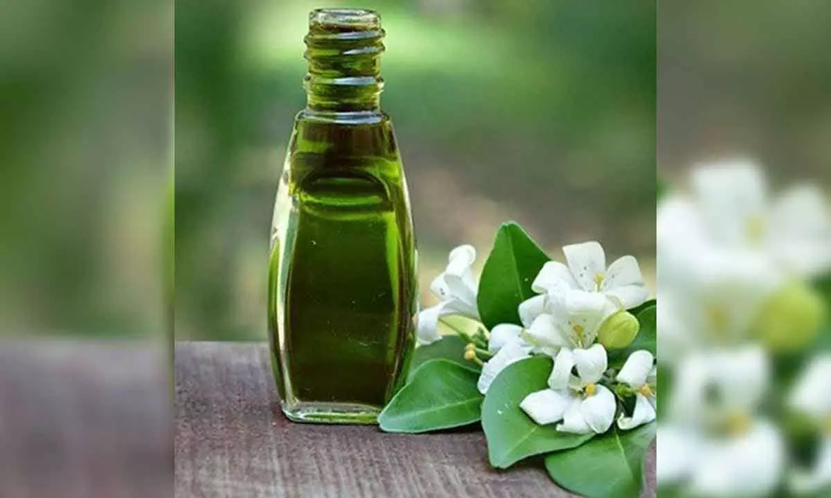 Check out the incredible benefits of Bhringraj Oils
