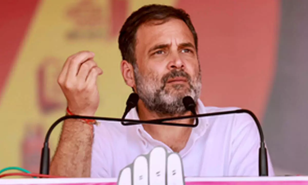 Congresss guarantees in Rajasthan have solution to every problem, says Rahul Gandhi